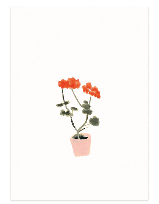 Postcard- Geranium